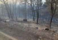 TUŽNI PRIZORI S KORČULE Za vatrogascima cjelonoćna borba