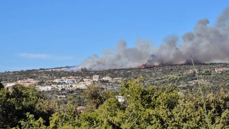 FOTO/VIDEO Planulo u Sevidu
