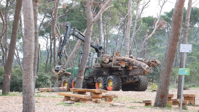 MARINIĆ I IVOŠEVIĆ: Zaustavljena sanacija Marjana, prijeti opasnost od potkornjaka