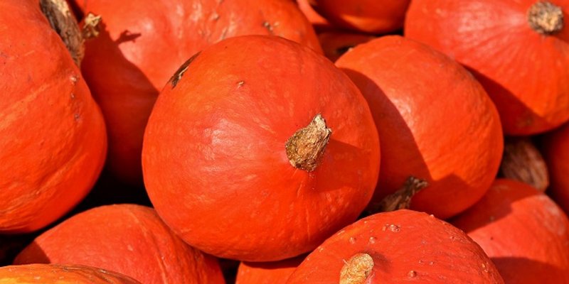 RECEPT Njoki od bundeve