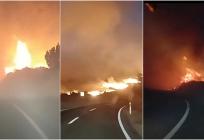 Jutros lokaliziran požar na Dugom otoku