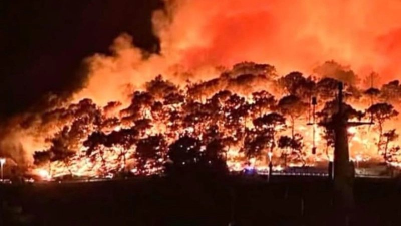 POŽAR NA BRAČU I DALJE BUKTI: Vatra zahvatila 250 hektara guste borove šume, kuće obranjene 