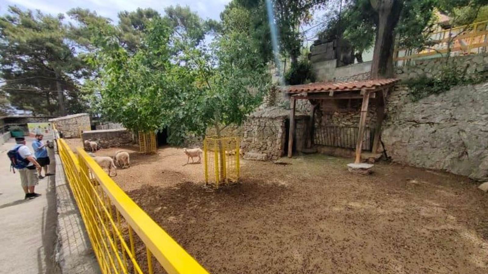 U ZOO vrtu Split radionica 'Zmije i žabe' za djecu stariju od 6 godina