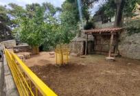 U ZOO vrtu Split radionica 'Zmije i žabe' za djecu stariju od 6 godina