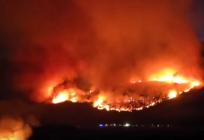VELIKI POŽAR NA JUGU DALMACIJE Vatrogasci brane kuće