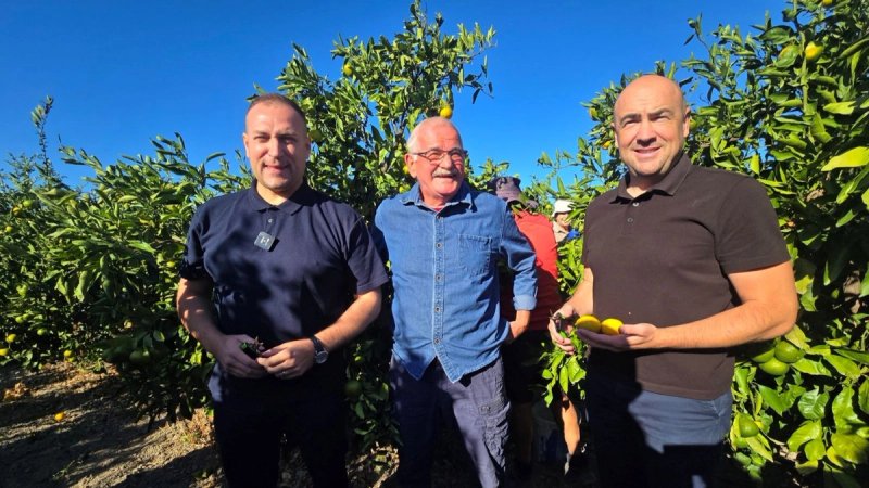 Političari obilježili početak berbe mandarina, urod manji nego lani