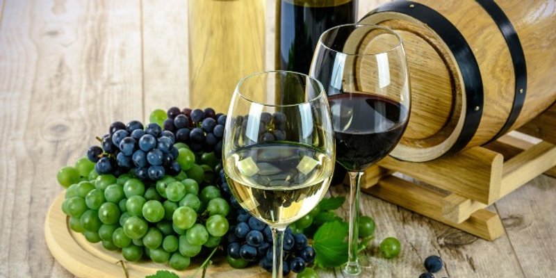 Festival 100 najboljih vina Hrvatske!