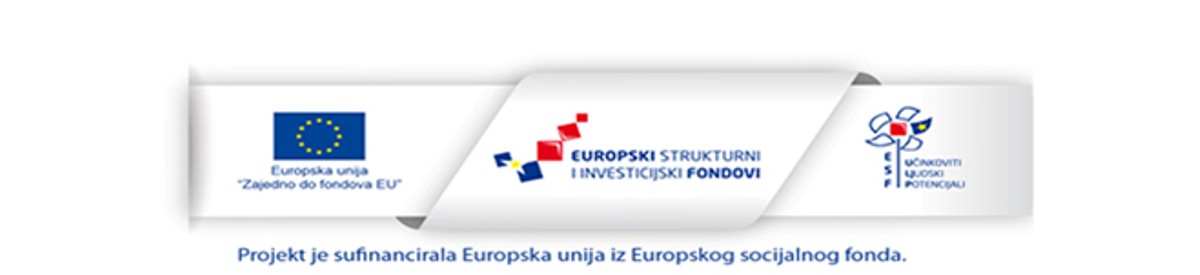 Projekt RoboFutura postiže izuzetne rezultate! 