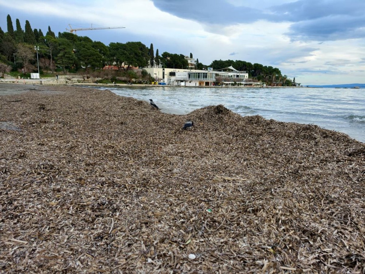 Nakon juga | foto: Joško Jaković