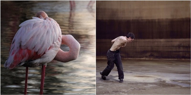 DOM MLADIH Otvorenje izložbe Anje Mergeduš i Sache Rey
