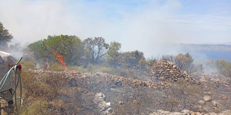 POZVAN I KANADER Planula šuma na Hvaru