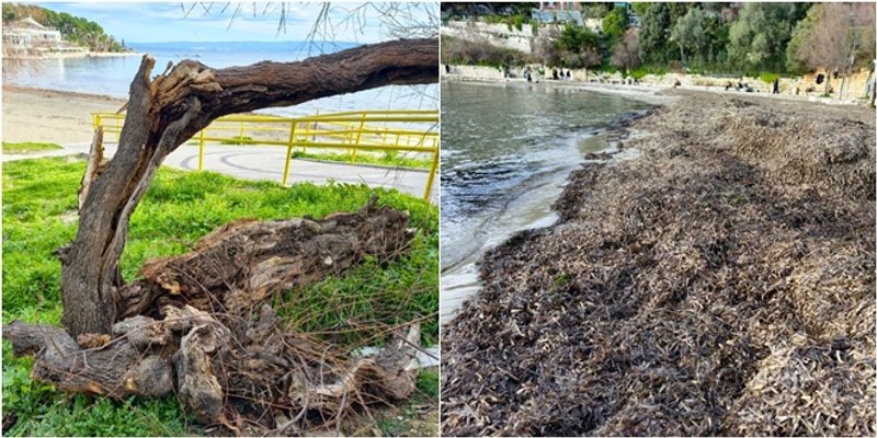 FOTOGALERIJA Sunce izmamilo Splićane na plaže, ali jugo ostavilo posljedice