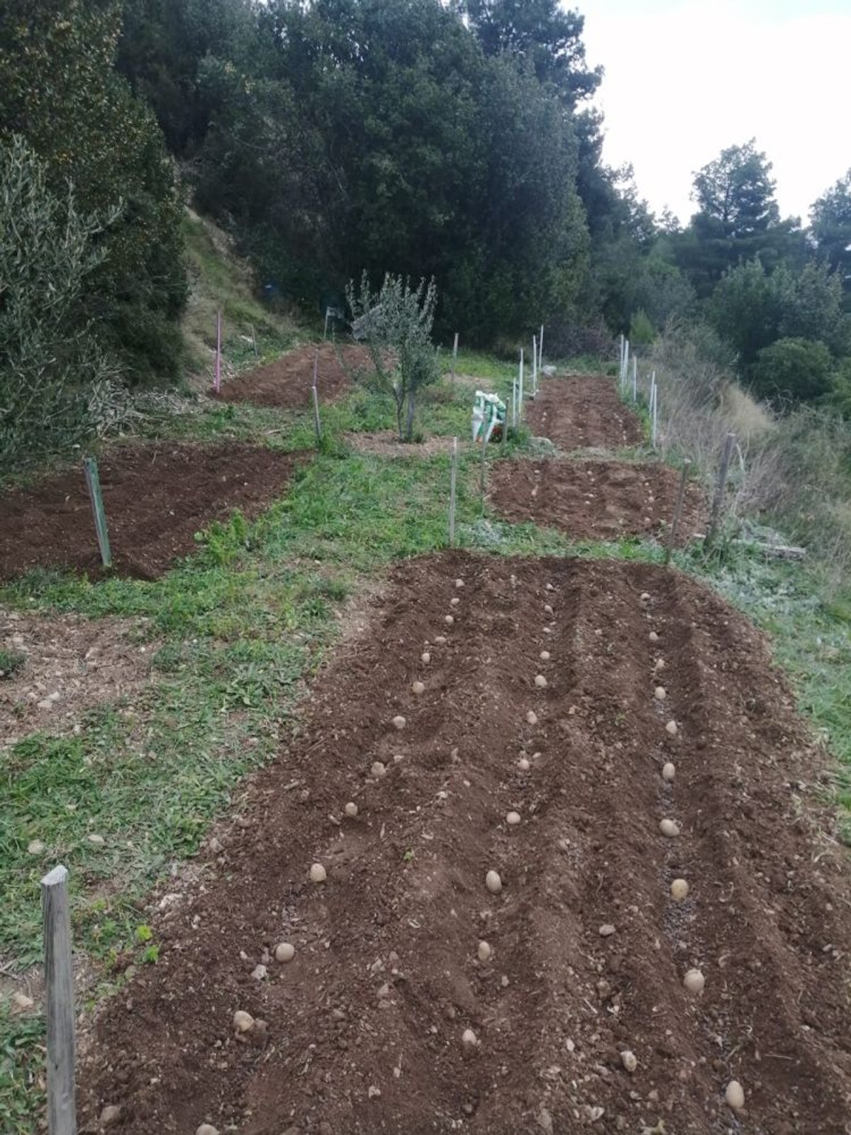 UDRUGA VLASNIKA ZEMLJIŠTA NA MARJANU: Apsurdno je da nas JU proziva za neodržavanje parcela