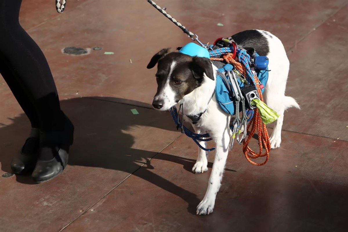 Miljen Chovan: Za brojne programe krnjevala nema mjesta u medijima dok se ne ispolitiziraju