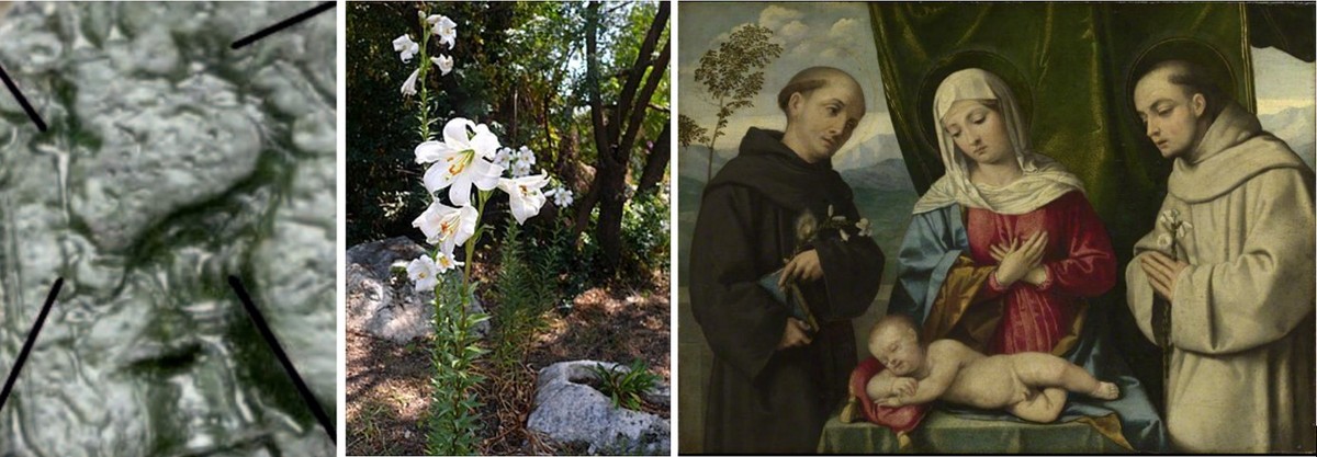 Zašto se Sinj u 15. stoljeću smatrao glavnim gradom Hrvatske?