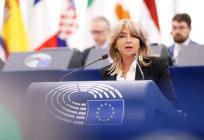 Hrvatska eurozastupnica pozvala na kriminalizaciju cyberbullyinga na razini EU-a: 'Duboke su posljedice'