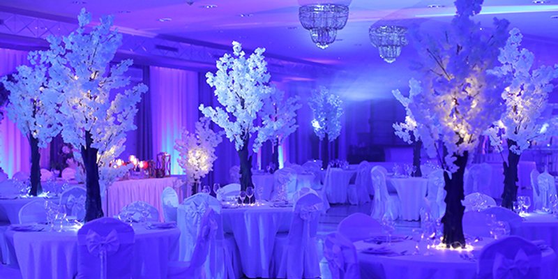 TRENDOVI KOD VJENČANJA 'Procvjetane grane trešnje odličan su odabir, stvorite ugođaj luksuza i glamura u svakom prostoru'