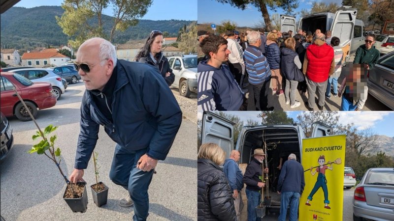 Kakva gužva! Cvijeto podijelio šipke i smokve Konavljanima