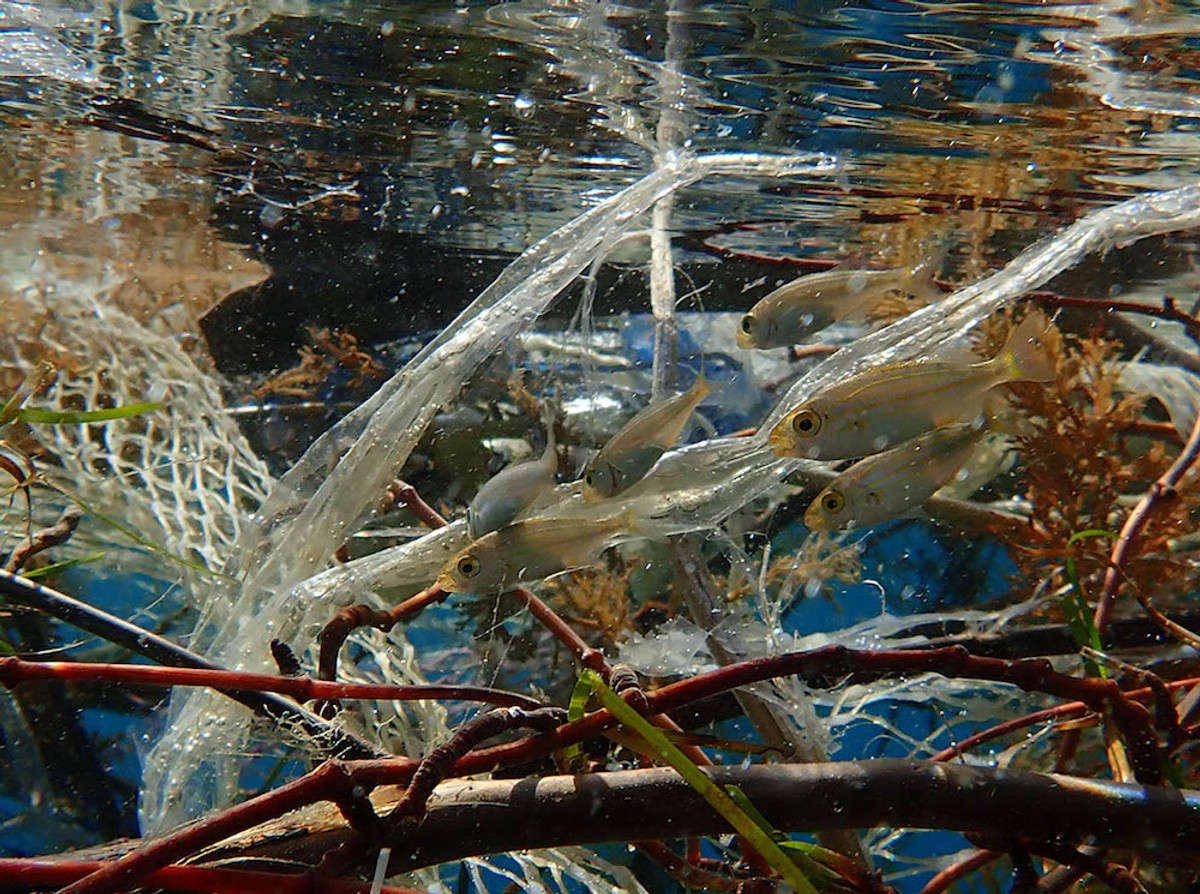 Splitski Institut kreće u sustavno prikupljanje podataka o sastavu i količinama morskog otpada