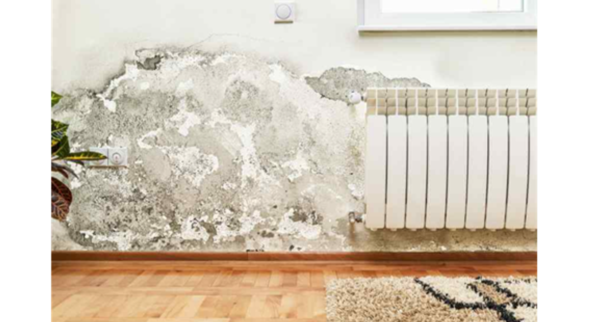 Neka vaš dom zamiriše po kolačima, a ne vlazi i plijesni!