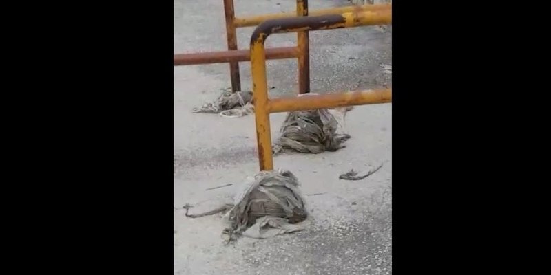 VIDEO Gadljivi prizori potoka Radoševac nakon velike kiše