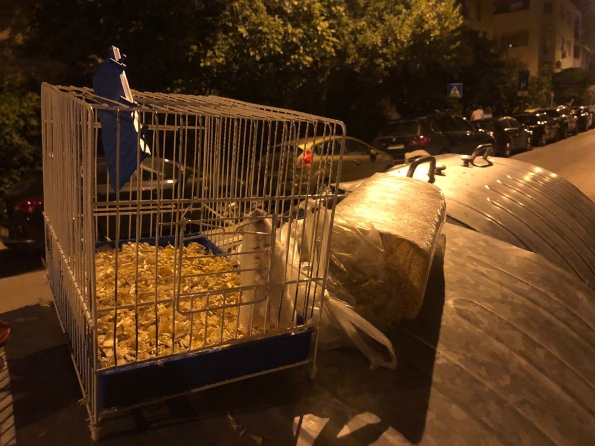 UŽAS Netko je kućnog ljubimca ostavio na kontejneru usred Splita