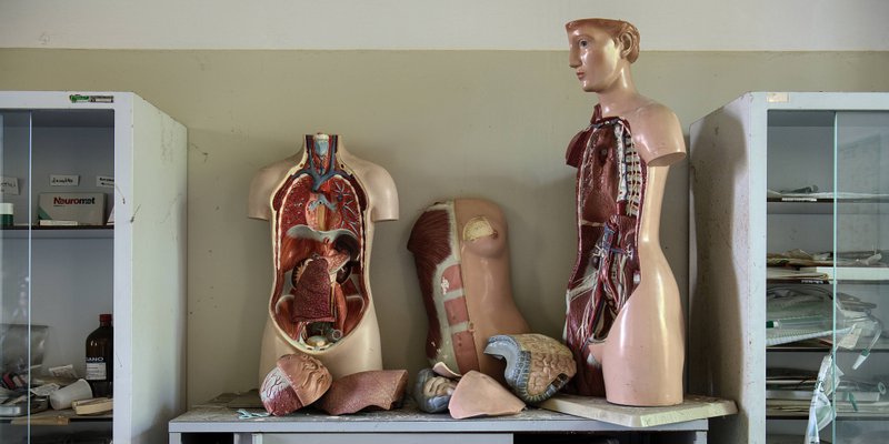 Bezalkoholna masna bolest jetre sve češći zdravstveni problem