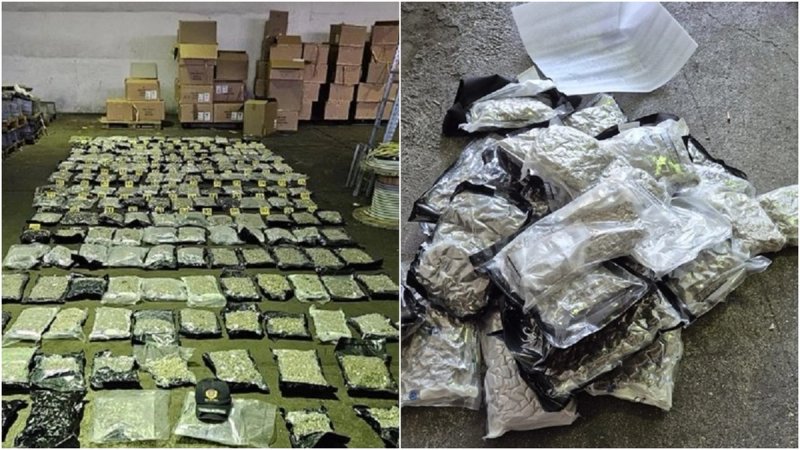 U Luci Ploče pronađeno više od 105 kilograma marihuane