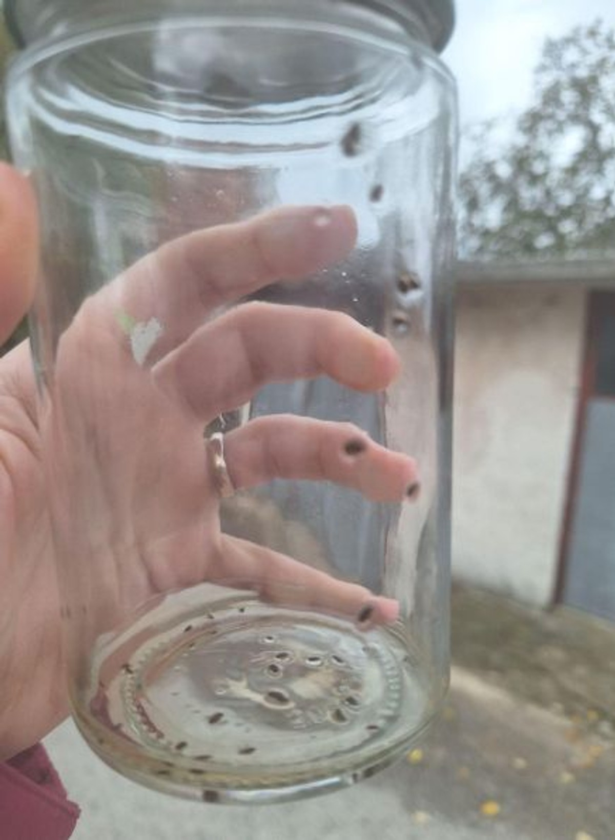 Grizu ih već dvije godine, prijave se gomilaju. Provjerili smo što se događa u zaleđu Omiša 