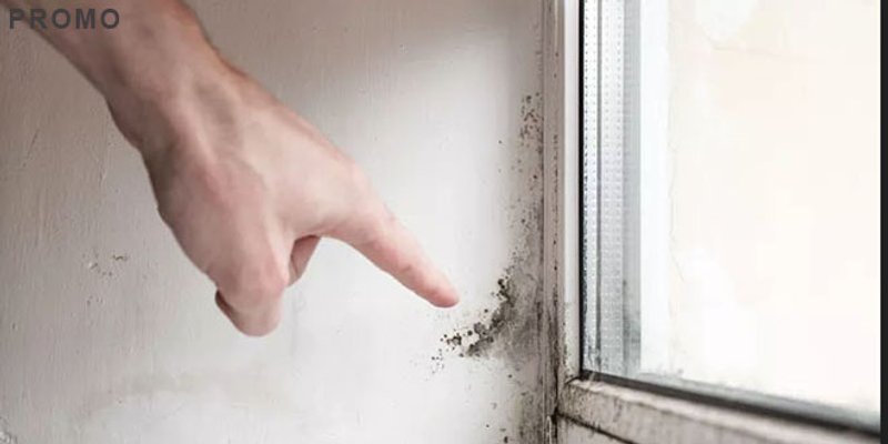 VIDEO Kako je Livio iz Marčane uklonio vlagu i plijesan u svom domu i apartmanu