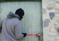 Unuk (15) istukao i otjerao pljačkaša kuće