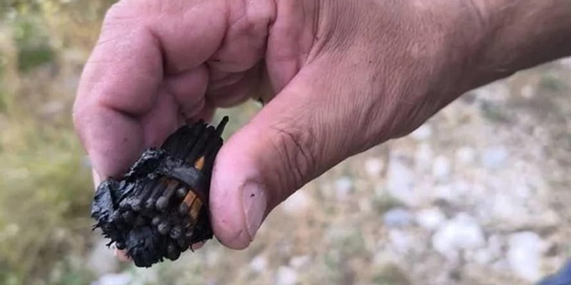 Pronađen snop šibica, sumnja se da su ovako izazvani požari od Omiša do Makarske