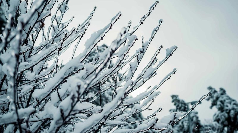 Crveno upozorenje za dio Hrvatske: Snježna mećava i prometni kolaps