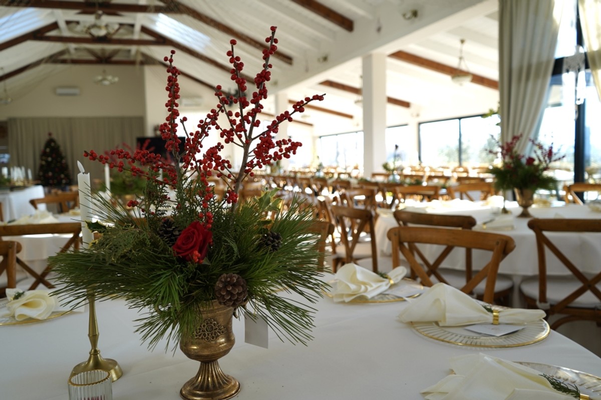 Villa Gala | Foto: Luka Šiljić / Spalatofilm