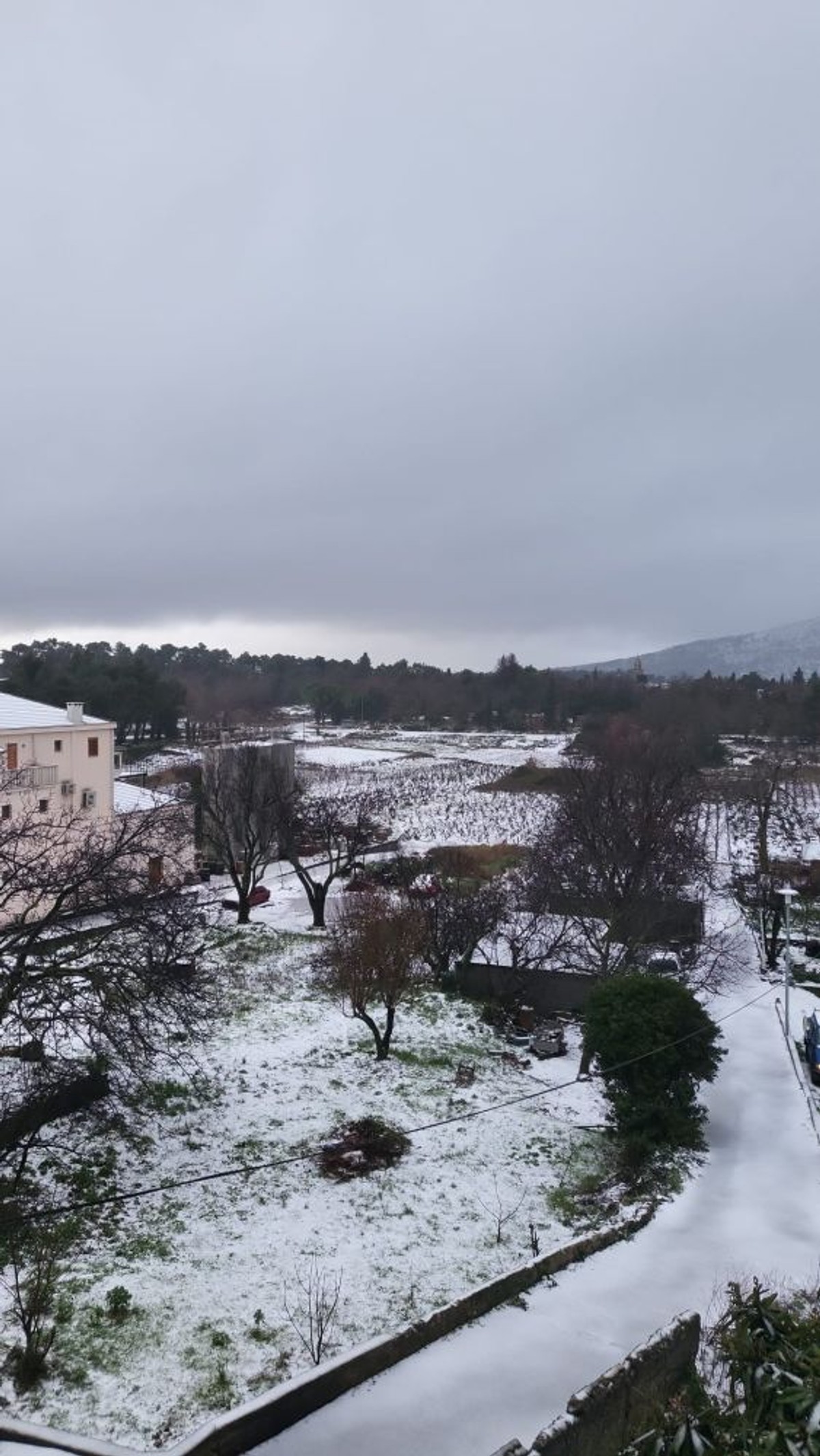 Snijeg diljem Dalmacije | foto: Čitatelji