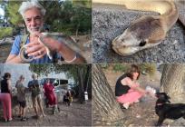 FOTO/VIDEO Piton i janje kod tvrđave Gripe, stigao i poznati dirigent koji se zmija ne boji
