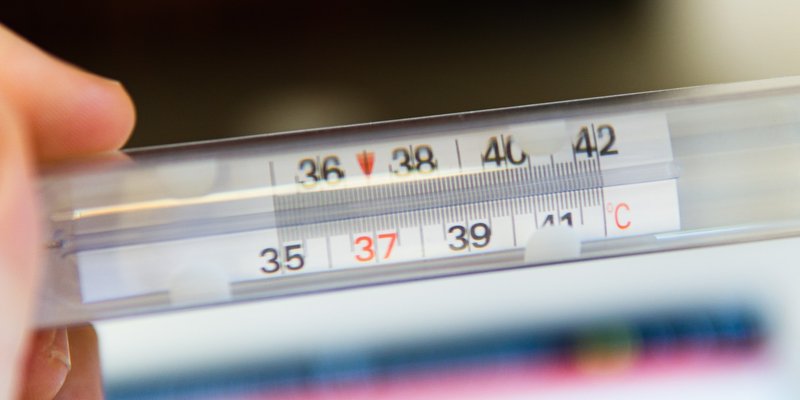 Kada vas treba brinuti temperatura?