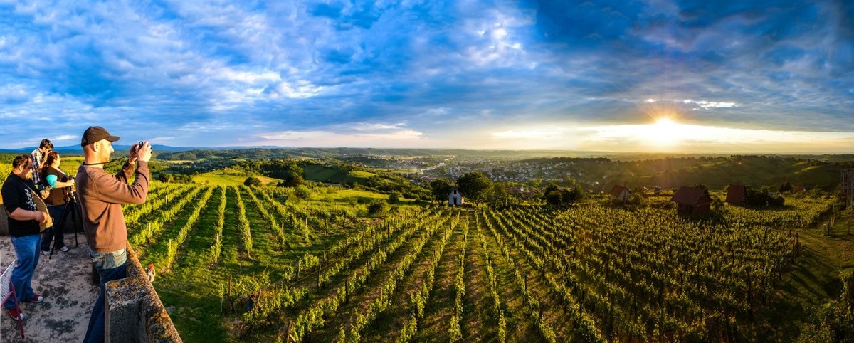 Vino opušta, a priroda smiruje - Doživljaj više čeka vas u Bjelovarsko-bilogorskoj županiji
