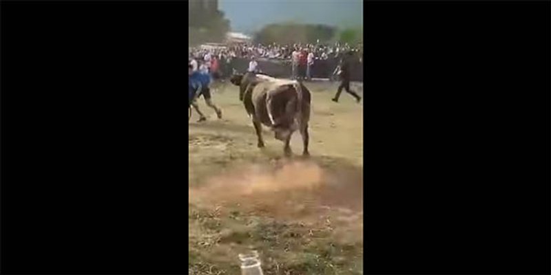 VIDEO: DRAMA U DICMU Bik se oteo kontroli, publika spašavala živu glavu