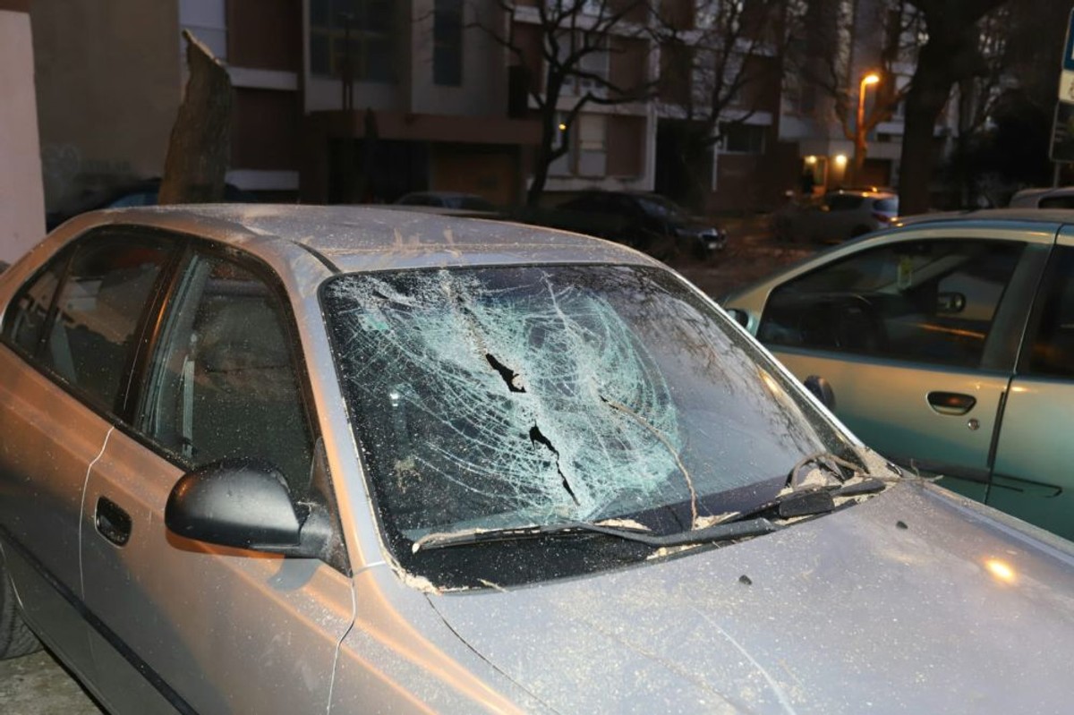 Smrdečac | foto: Veljko Martinović