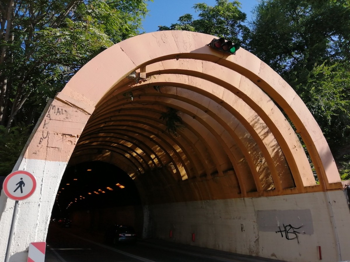 UPOZORENJE DR. KALILIĆA: Agresivni pajasen napao je i Marjanski tunel!