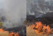 VIDEO: U Dicmu planuo požar