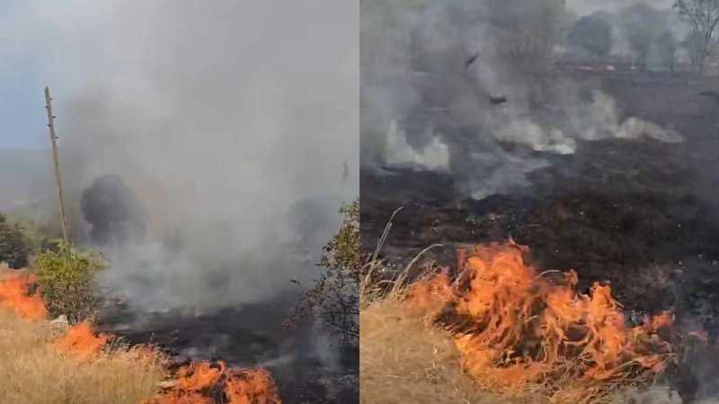VIDEO: U Dicmu planuo požar