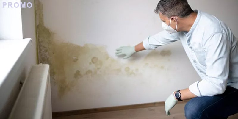 Imate problema u kući s prekomjernom vlagom i plijesni?