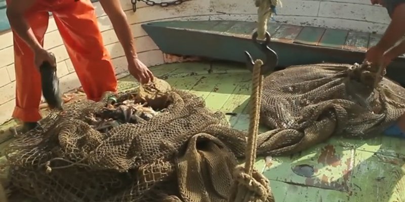 LAG/FLAG ŠKOJI Raspisani natječaji za zapošljavanje mladih i razvoju lokalnog ribarstva