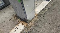 Od 'Gumenog' i špatule do posebnog stroja: Evo kako se Split konačno rješava šporkice u centru grada