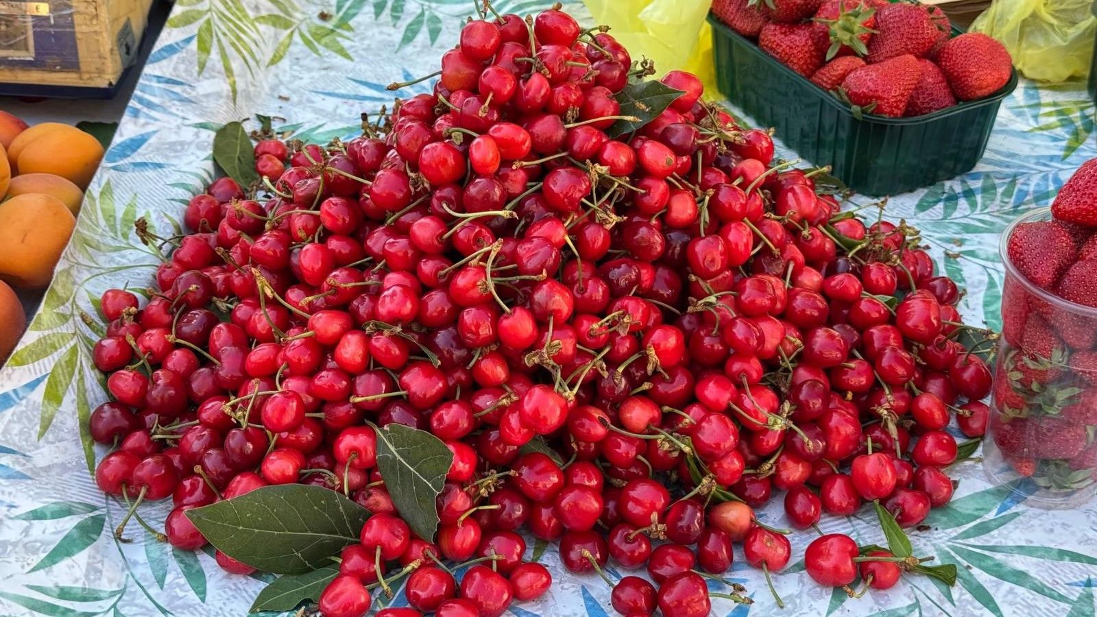 Trešnje stigle na splitski pazar, provjerili smo koliko koštaju