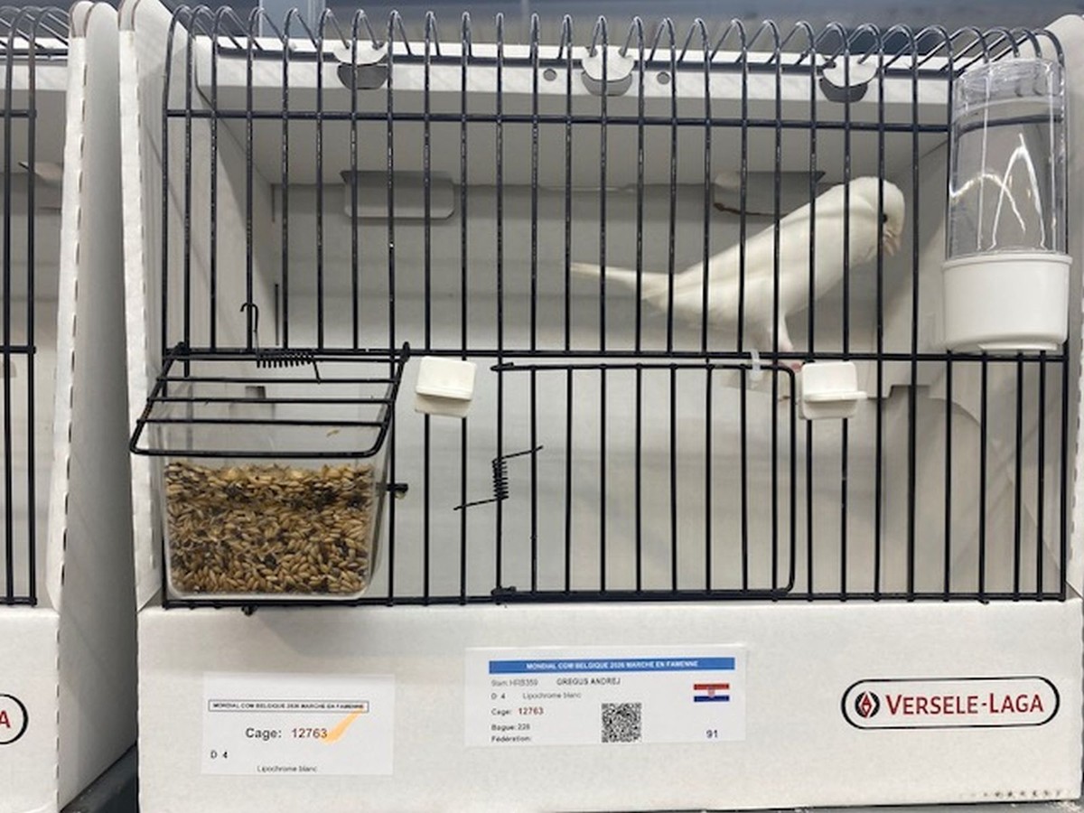 Svjetsko ornitološko prvenstvo: Deset medalja stiglo u Dubrovnik!