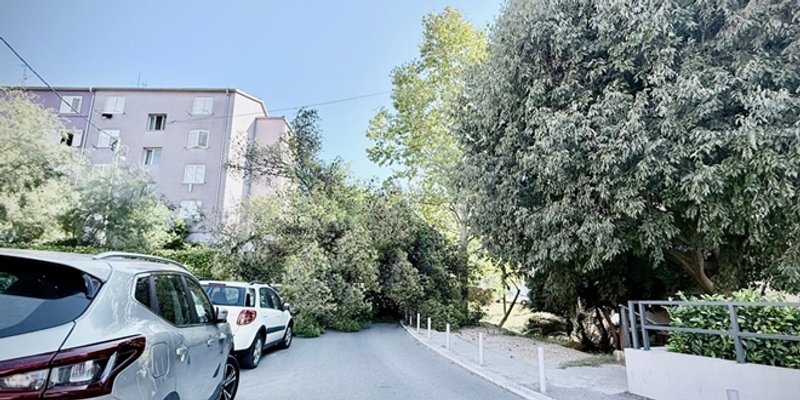 FOTO UBOD Bor pao u splitskoj ulici, prolaznik 'za dlaku' izbjegao nesreću