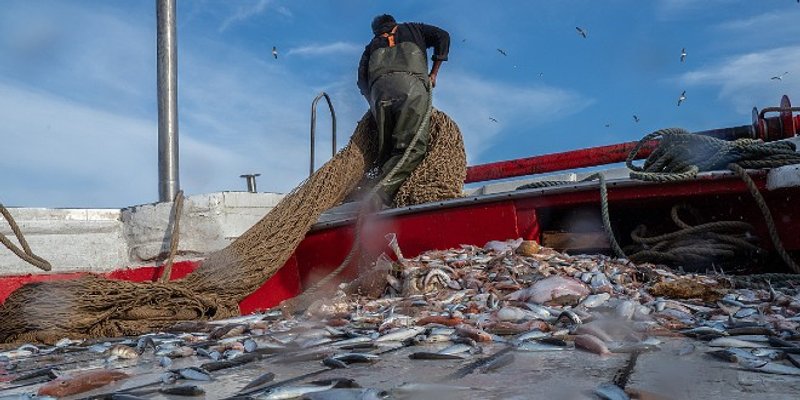 Električni motori za ribolov u Jadranskom moru